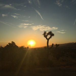 Meet your Posher, Ruben